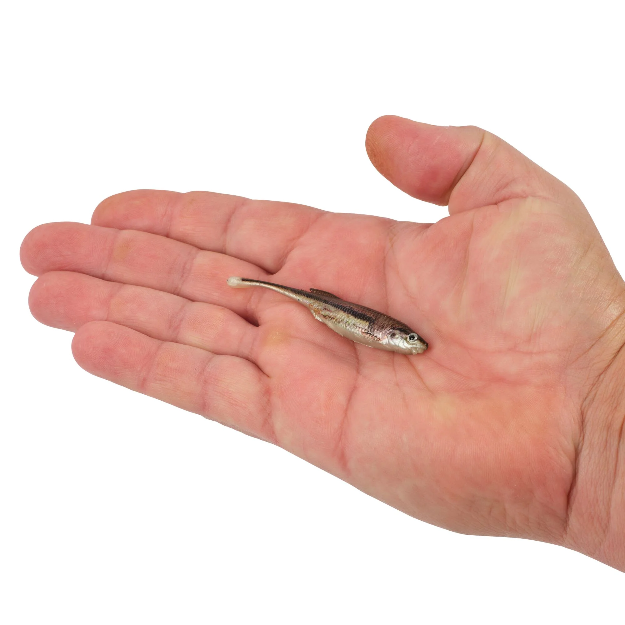 Product image 79