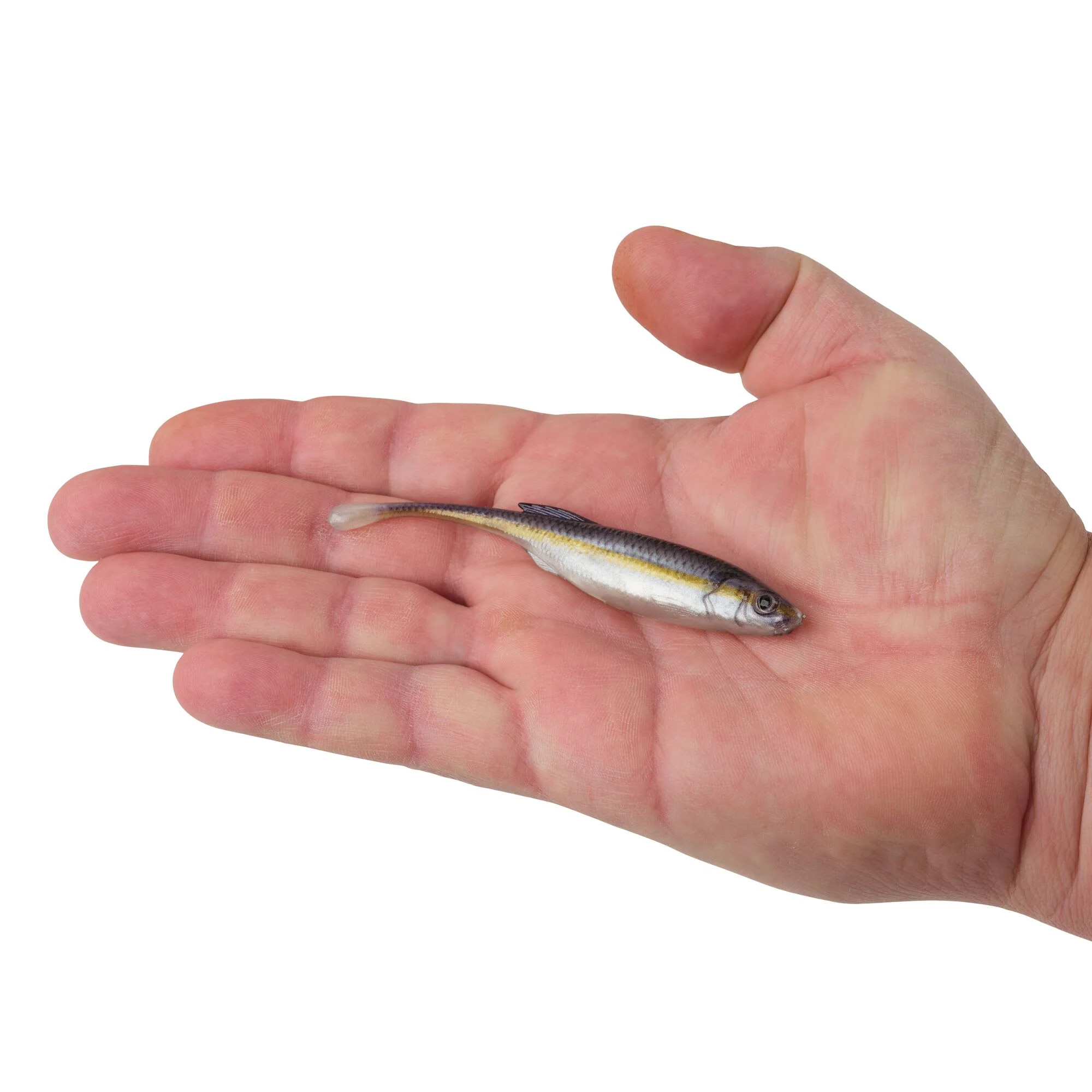 Product image 96