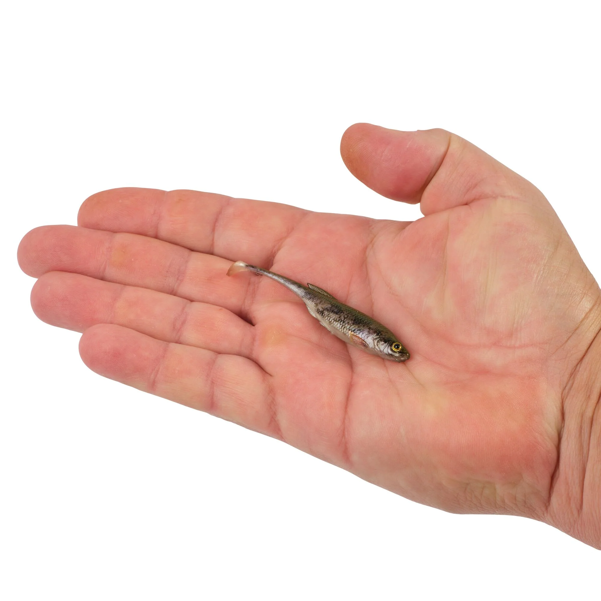 Product image 51