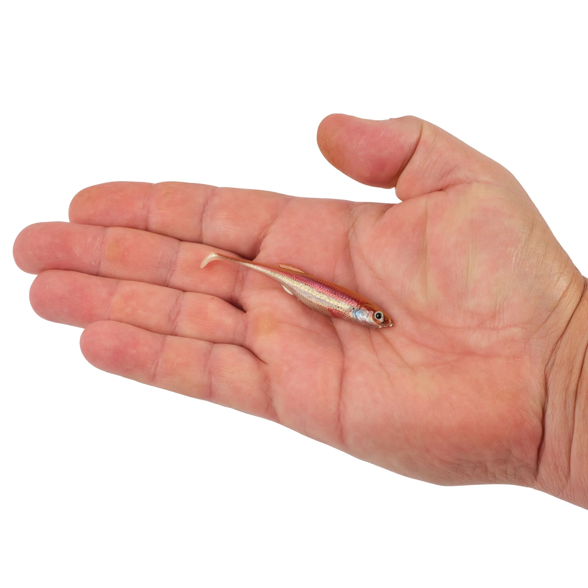 Product image 54