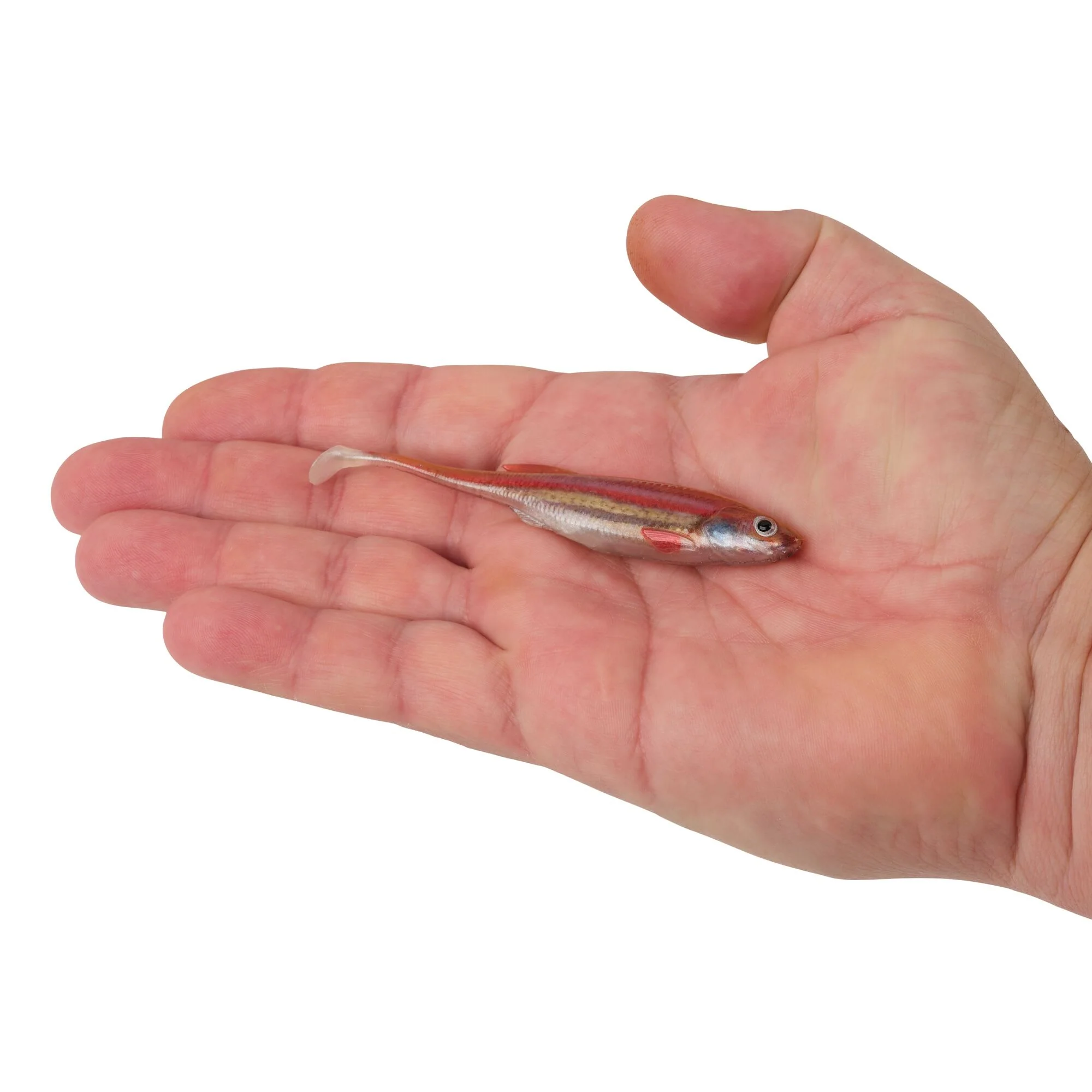 Product image 68